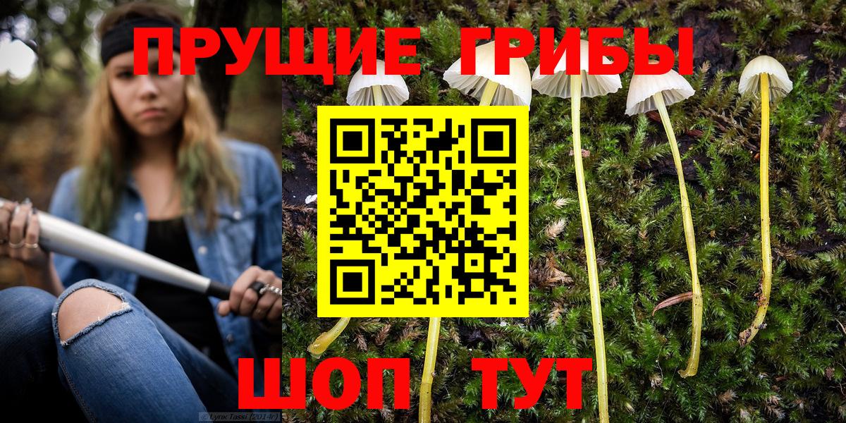 Псилоцибиновые грибы MAGIC MUSHROOMS  Вход с VPN  Псилоцибиновые грибы ЛСД  Сальск 