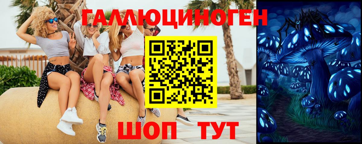 Галлюциногенные грибы GOLDEN TEACHER Сальск