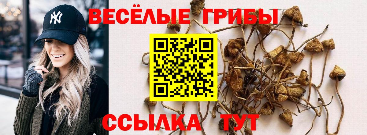 COCAIN  Альфа ПВП СОЛЬ   Марихуана  Сальск  Вход с VPN  МЕФ   ГАШИШ  ГАШ 